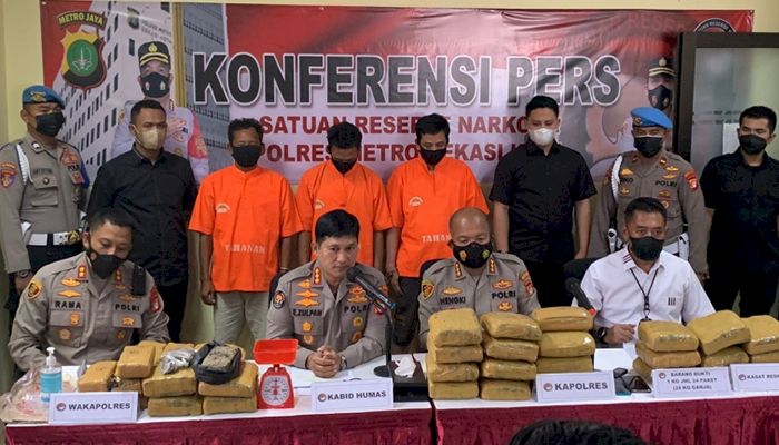 Polisi Amankan Tiga Orang Tersangka Pengedar Ganja 31 Kilogram 